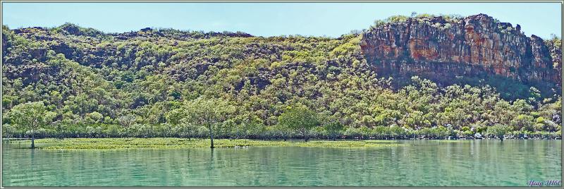 20/09/2022 : après la longue recherche de Crocodile marin (Crocodylus porosus) à Porosus Creek, enfin nous en verrons un ! - Hunter River - Prince Frederick Harbour - Kimberley - Australie