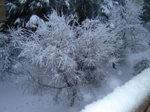 Il neige sur Avignon1