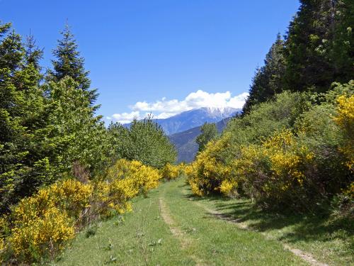 Le Circuit de la Matte (Mata) (1.205 m) depuis Urbanya (856 m)