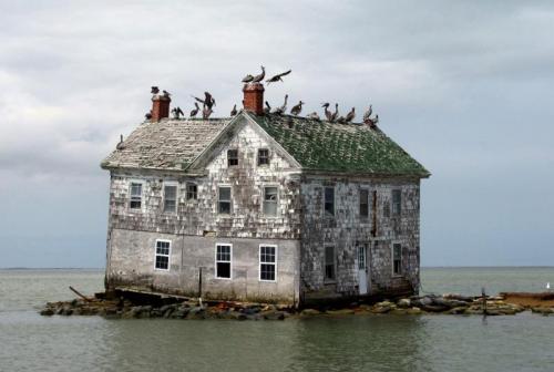  The Ballad of Holland Island House
