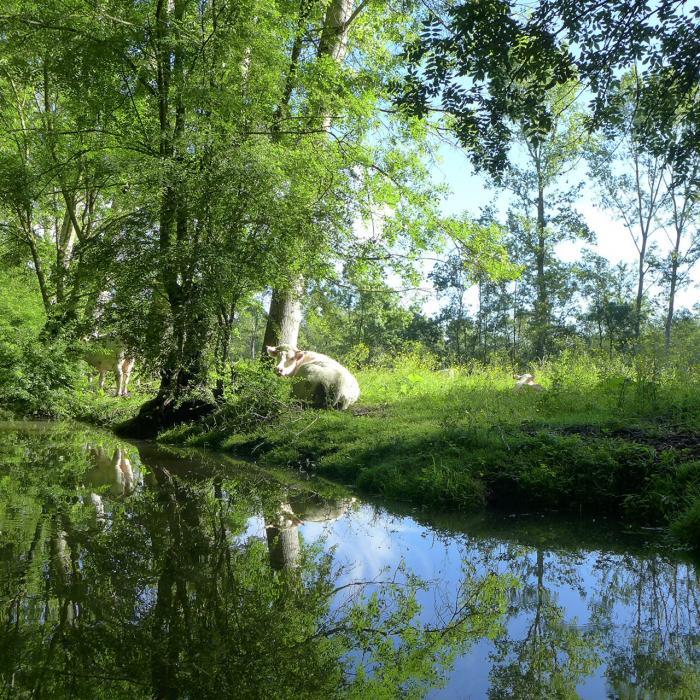 Département de la Vendée