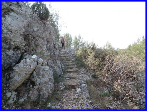 Le vallat des Brayes