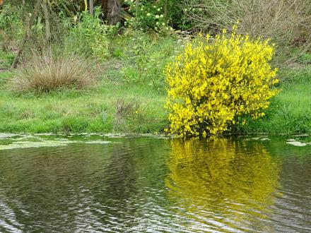 Un petit tour au jardin botanique de Pornic 