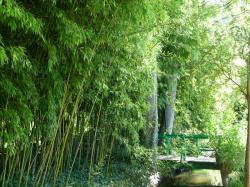 Une journée entière de vacances à Giverny / 2 /