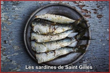 ღ꧁ღ╭⊱ꕥ   85 La Vendée  ꕥ⊱╮ღ꧂ღ