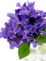 Mes jolis mots ( 2 ) 