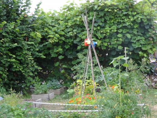 Des fleurs et des couleurs du coté de SaintSébastien (Piriac)