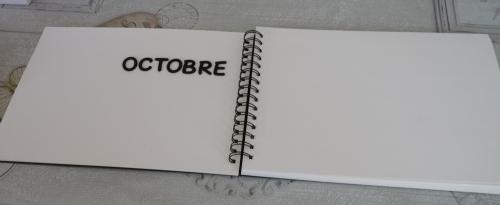Bullet journal, Bujo,carnet/cahier créatif ....
