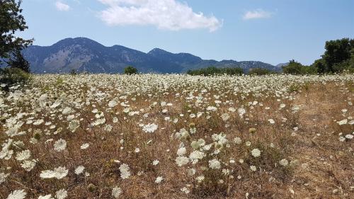 Le B de l'intérieur !