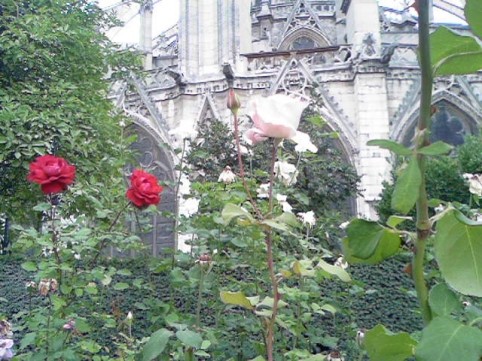 Image35