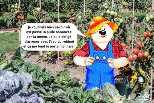 Les aventures des banquisards 