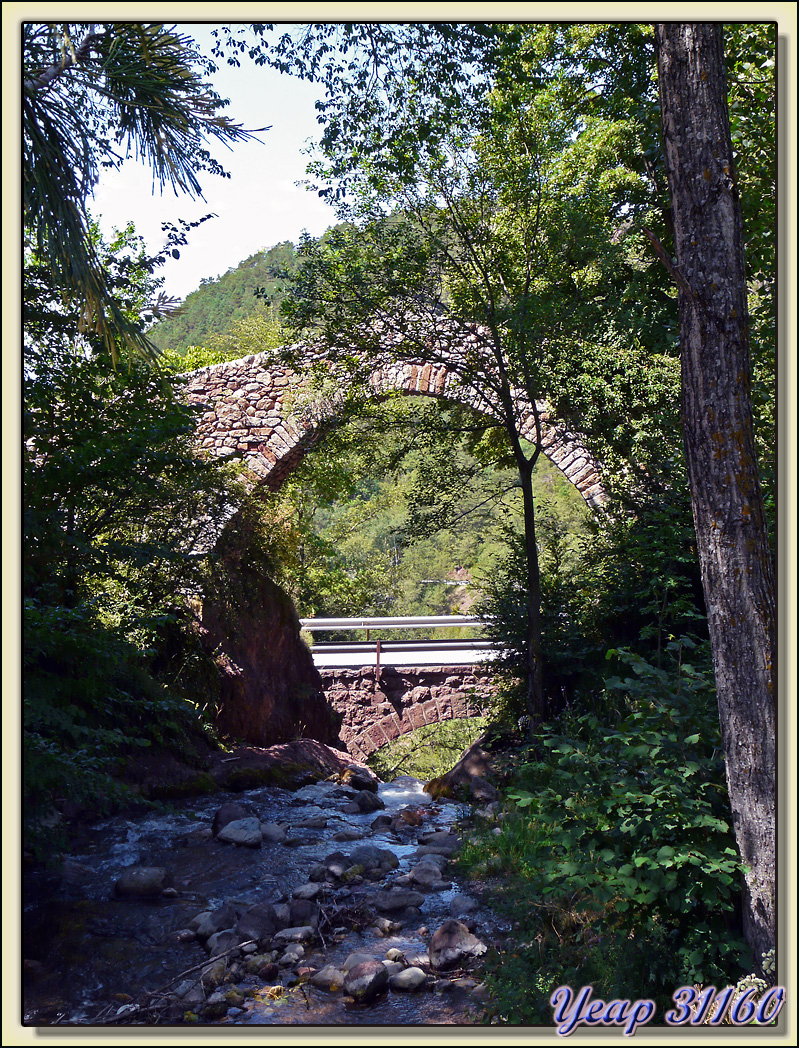 Pont génois sur le Rio Llobrégat - Castellar de N'Hug - Espagne
