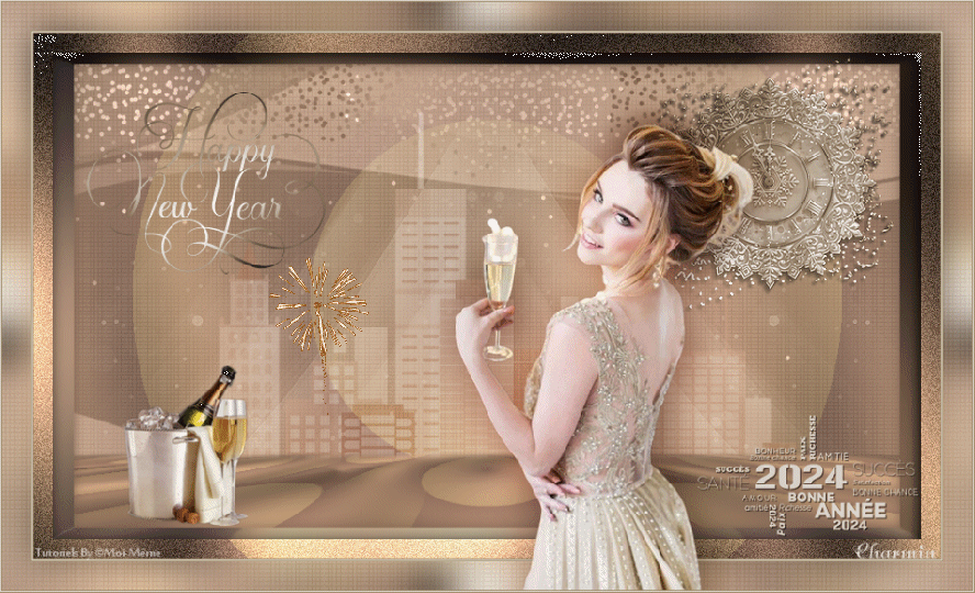 Bonne Année /Happy new Year 2024