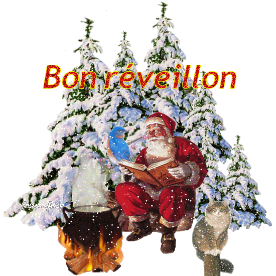 joyeux noël et gros bisoussssssssssssss - UN PETIT COUCOU