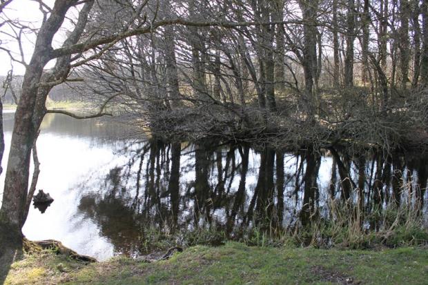 Lac du Drennec 082