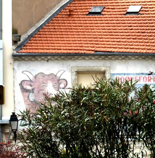 Les murs peints de Béziers : Photos Anne . L