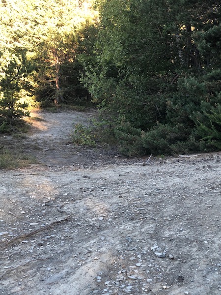 Bois Le Prêtre (Montclar)