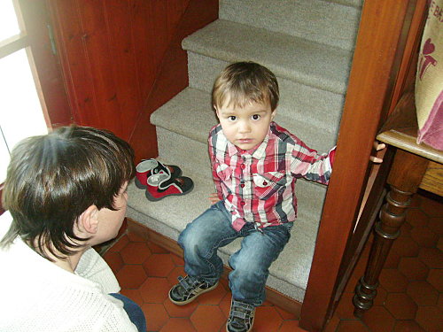 IMGP0255.JPG