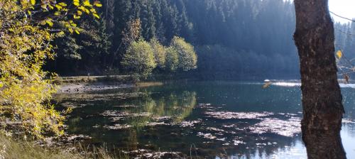 ARTVIN et la montagne 2/2