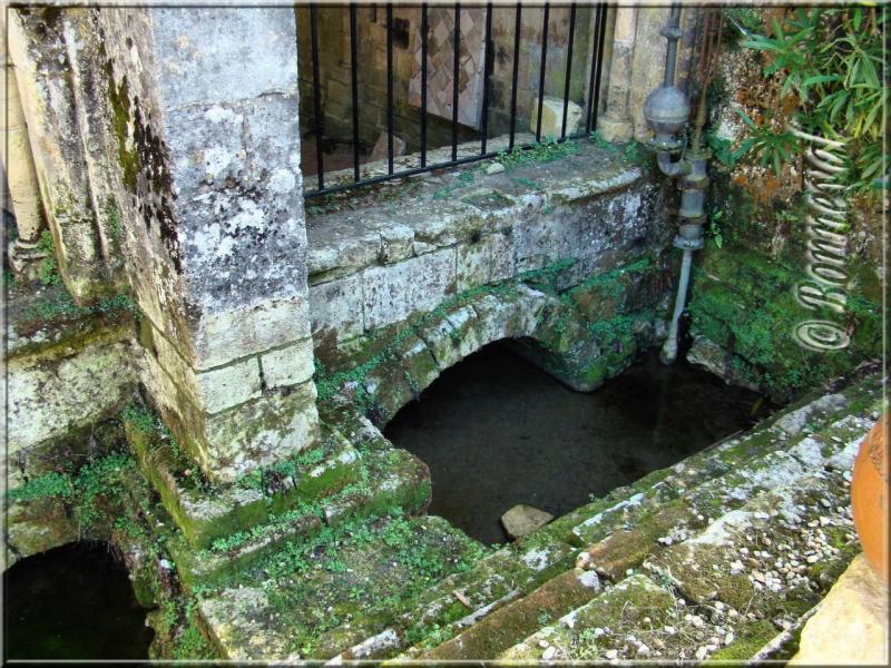Abbaye de Fontdouce Charente-Maritime sortie de la canalisaion de la Salle Capitulaire