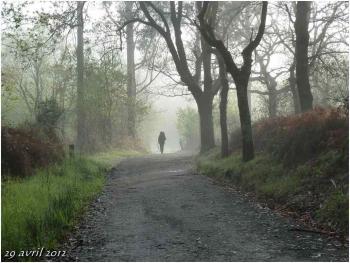 (J25) O Pedrouzo-Arca / Santiago 29 avril 2012 (1)