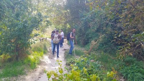 L'hospitalité des cheminées de fée