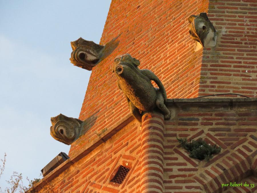 Nègrepelisse  (82)