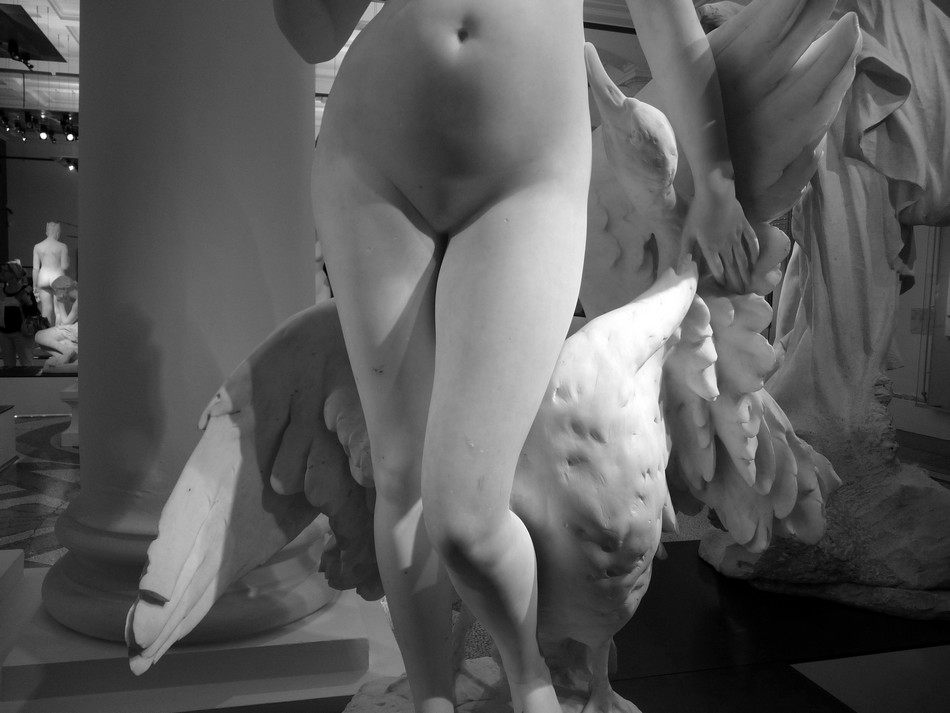 Le grand Musée de Picardie