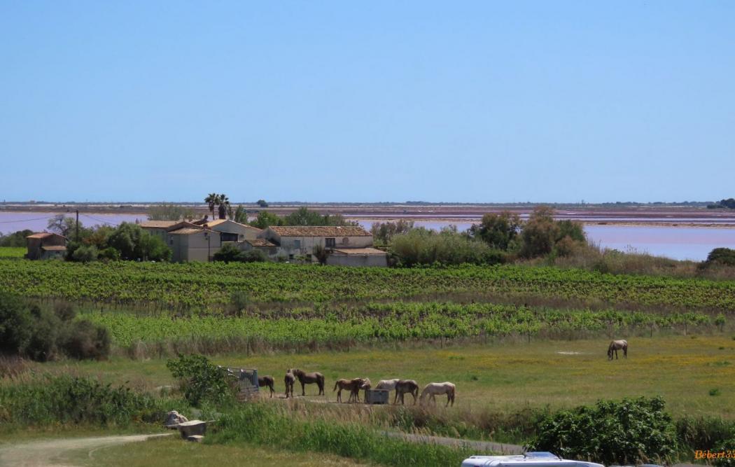 Aigues-Mortes en 2021 