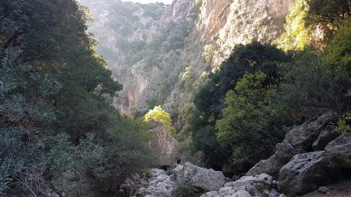 Rando dans les gorges de DIKTAMOS