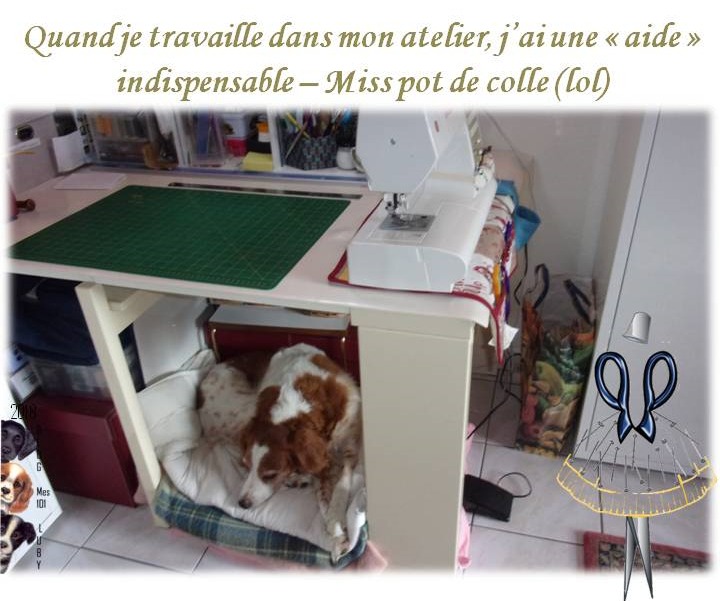 Housse et Tapis pour MAC