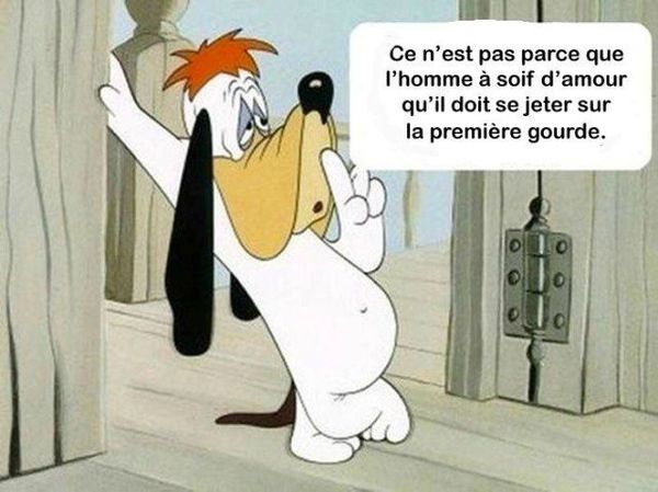 Humour du vendredi ... !!!