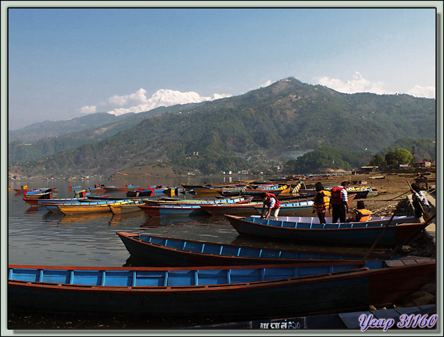 Blog de images-du-pays-des-ours : Images du Pays des Ours (et d'ailleurs ...), Départ matinal pour une randonnée vers la "Pagode de la Paix Mondiale" - Lac Phewa - Pokhara - Népal