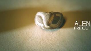 Les momies du Pérou