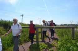 La balade du 15 mai à Ifs-Bras