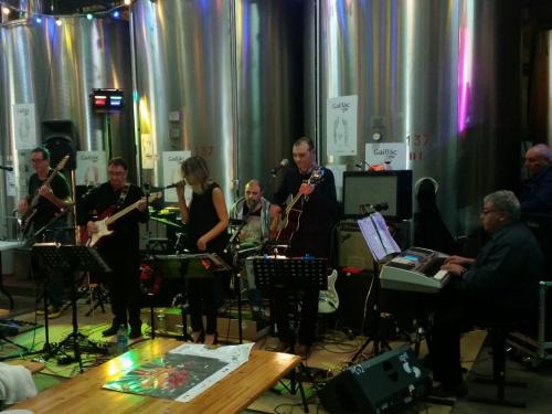 CONCERT FETE MUSIQUE BOUSCAILLOUS 18 JUIN 2016