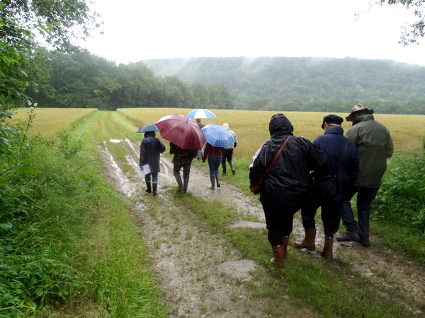 La sortie 2016 proposée par la SAHC nous a permis de retrouver un patrimoine disparu...