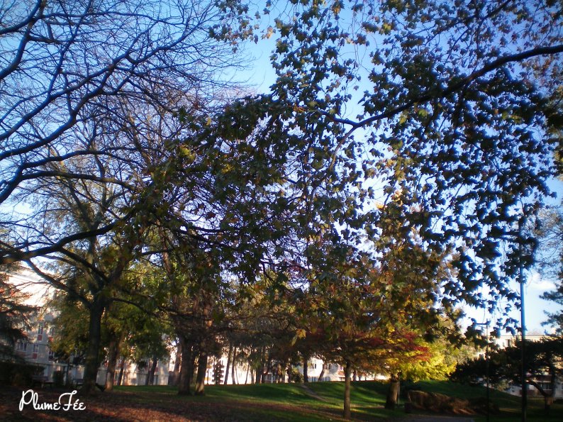 Image005.jpg