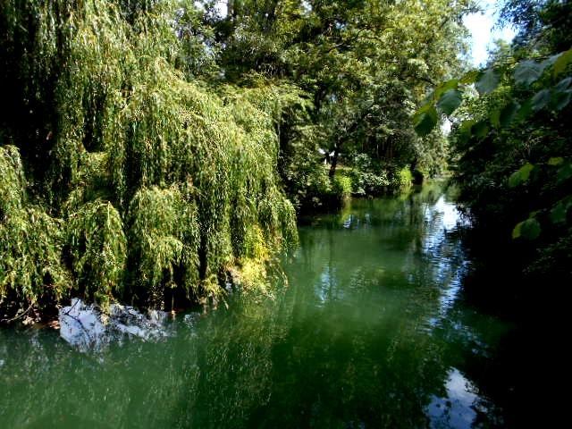 Saintes " une ville d'histoire " au bord du fleuve la  Charente ….." 3 "