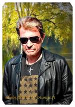 Fond ecran johnny hallyday008