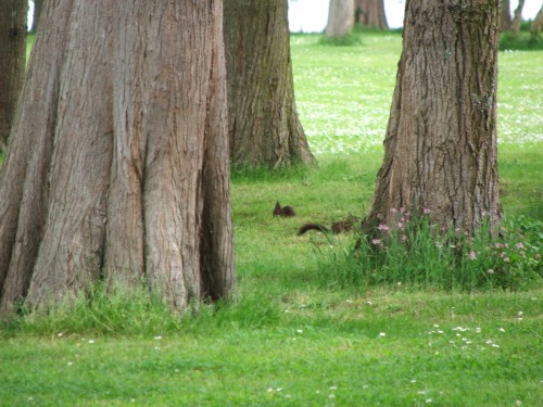 DSCF4070.JPG