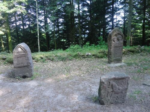 "Séjour dans Les Vosges" - 6 au 13 juin 2015