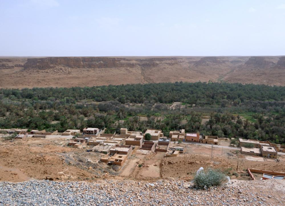Palmeraie du Ziz