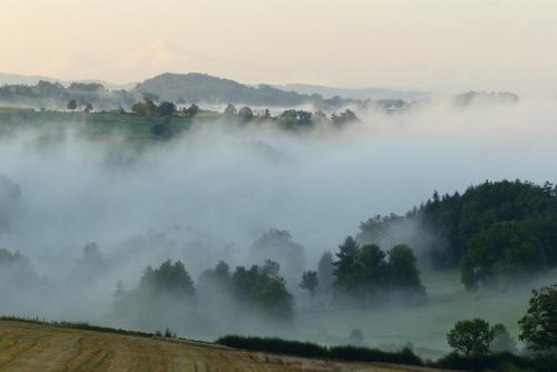 Automne :