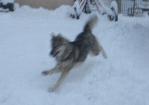 Visite chez Jaakka/Demon