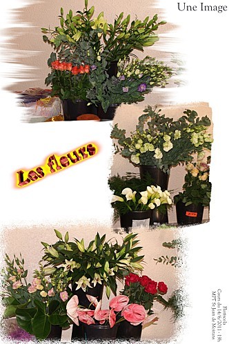 2011 juin une image 2