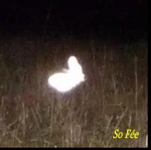 Les Emanants de So Fée