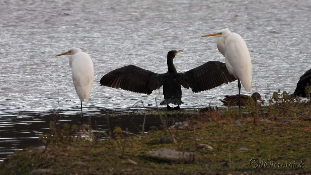 Ecopôle du Val d'Allier 1