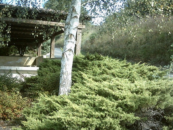 a-octobre-lavoir2.jpg