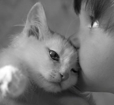 Image n°7...